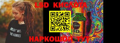 хмурый Сланцы