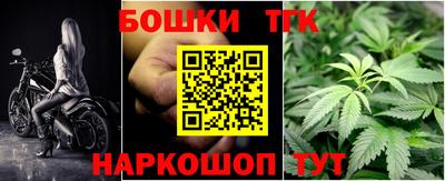 хмурый Сланцы