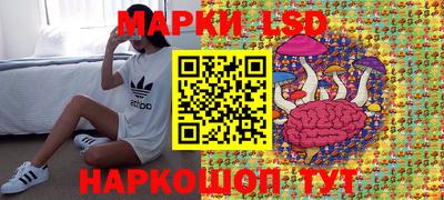 хмурый Сланцы