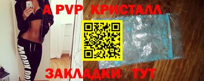 хмурый Сланцы