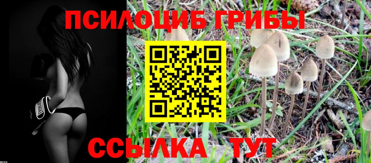 Галлюциногенные грибы MAGIC MUSHROOMS Переславль-Залесский