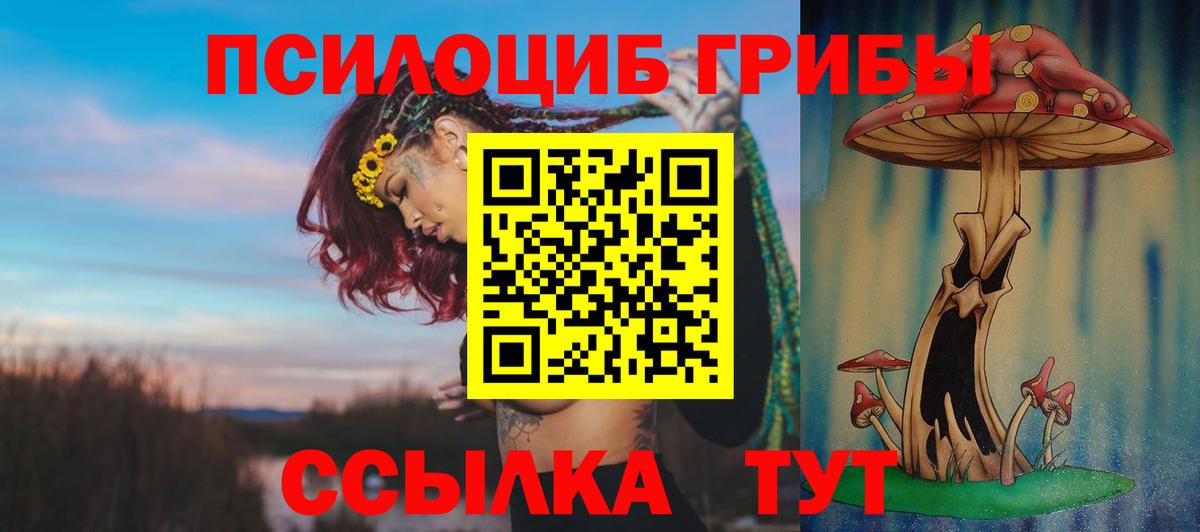 Псилоцибиновые грибы MAGIC MUSHROOMS  Псилоцибиновые грибы Magic Shrooms  Вход с VPN  Переславль-Залесский 